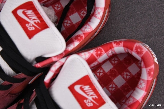 313170-661 Low Lobster SB Nike Concepts Dunk Red 0909